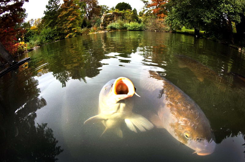 Особенности ловли на незнакомом водоеме
