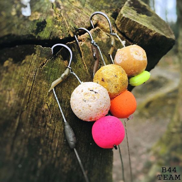 Любимая приманка карпа